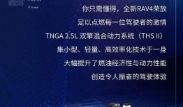 迪拜爆料网赌视频最新进展