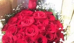 520玫瑰最新爆料,幕后故事与情感真相大曝光