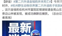 珠海餐饮爆料事件视频最新,揭露后厨黑幕，食品安全引关注